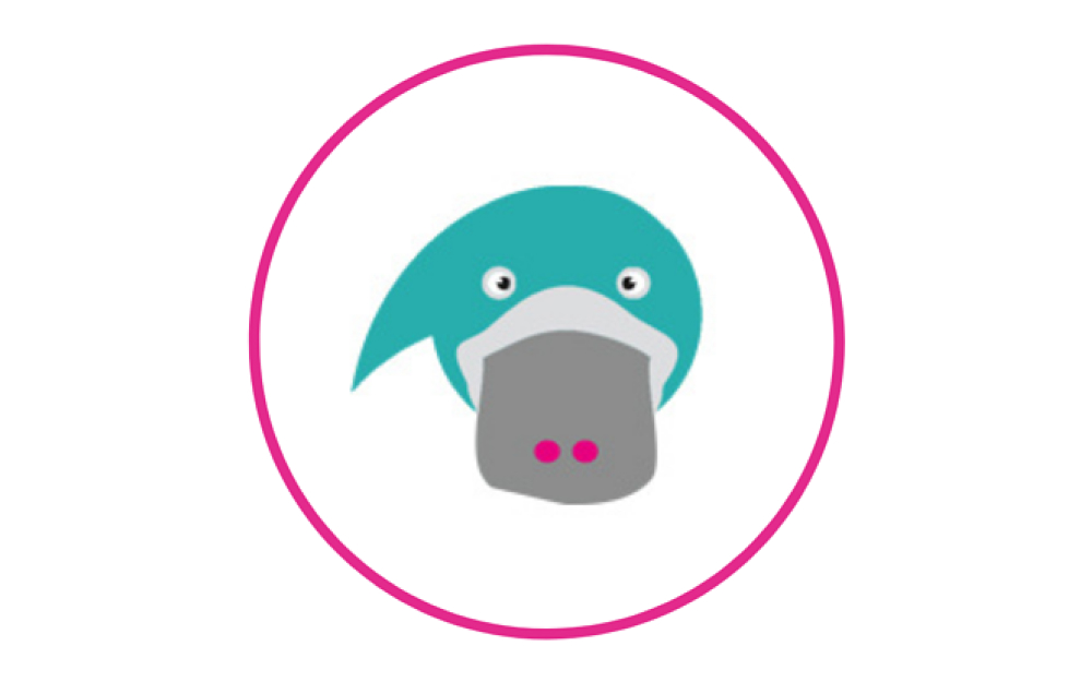 Webinar - The CEOs Guide to the Science of Pricing_ Price your Platypus