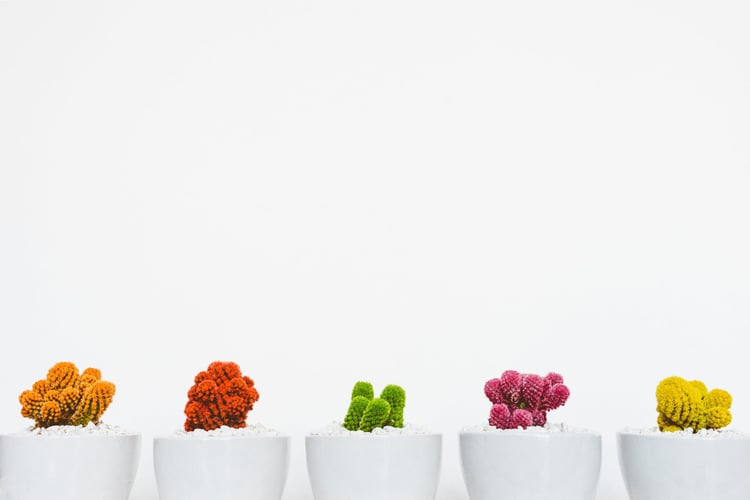 The right marketing team to grow your business